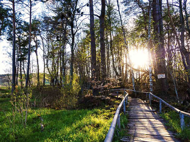 Schopflocher Moor