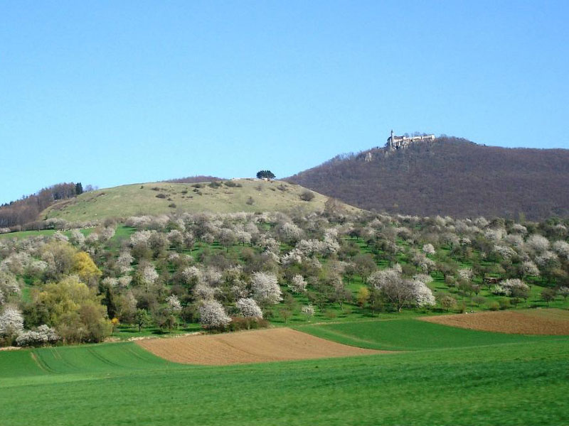 teckberg